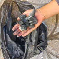 پخش انواع زغال