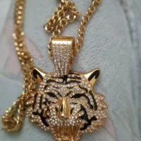 گردنبند رنگ ثابت ببر|بدلیجات|کرج, فاز ۳ گوهردشت|دیوار