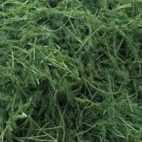 سبزی|خوردنی و آشامیدنی|ساوه, |دیوار