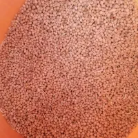 نخود|خوردنی و آشامیدنی|بیجار, |دیوار