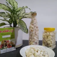 ترشی و شوریجات رز دهکده|خوردنی و آشامیدنی|گندمان, |دیوار