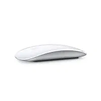 Magic  mouse (usb-c)
