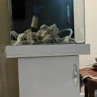 آکواریوم سالم و با تمام امکانات