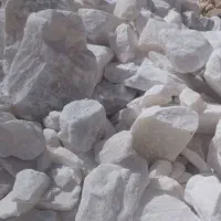 سنگ نمک دامی