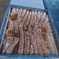 عسل صددرصد طبیعی برای درمان