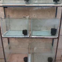 آکواریوم وپایه|ماهی|برخوار, |دیوار