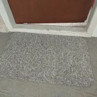 پادری پالازی پشت نمدی