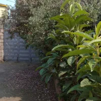 اجاره روزانه/هفتگی/ماهانه آپارتمان ۷۰ متری|اجارهٔ کوتاه‌مدت آپارتمان و سوئیت|آستارا, |دیوار