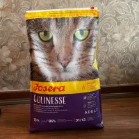 غذای خشک گربه|لوازم جانبی حیوانات|تهران, شیخ هادی|دیوار