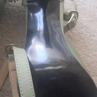 کفش مجلسی