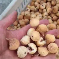 ۲۵ تن انجیر تازه و اعلای باغ شیراز/۵۰کیلو به بالا|خوردنی و آشامیدنی|اصفهان, محمودیه|دیوار