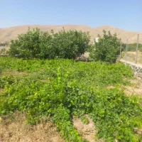 خونه-باغ-واقع-در-بخش-خلجستان