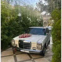 اجاره ماشین عروس بنز کلاسیک|خودرو اجارهای|کرج, فاز ۳ گوهردشت|دیوار