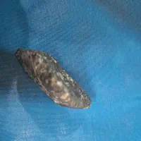 شهاب سنگ|جواهرات|تهران, ایرانشهر|دیوار