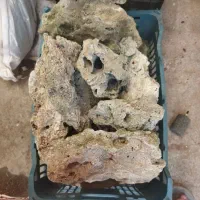 فروش سنگ مرجان برای آکواریوم