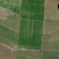 زمین کشاورزی به‌اجاره داده میشود