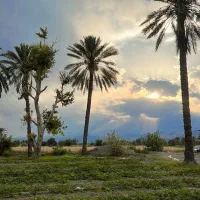 4هکتار زمین کشاورزی همراه با 12ساعت آب فاریاب