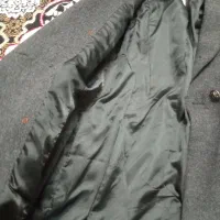 یگ عددپالتو شیک