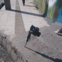 تخریب مصاله کشی جابجای