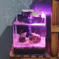 آکواریوم کوچک با وسایل