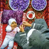 زعفران ناب قائنات، مستقیم از دل مزرعه تا دست شما