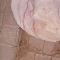 فروش کود کبوتر کاشان  ممتاز