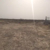 فروش باغ پسته ۱۵ ساله|فروش دفتر صنعتی، کشاورزی، تجاری|رشتخوار, |دیوار