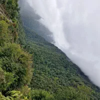 راهنمایی میکنم
