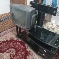 میزوتلوزیون جفتش ۱۵۰۰سالم درحد