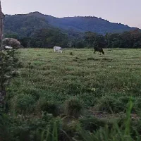 زمین-کشاورزی