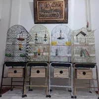 قفس عروس هلندی ملنگو گرینچیک خرگوش سرلاک ارزن