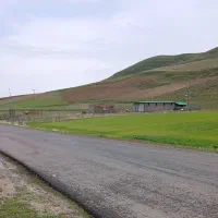 زمین کشاورزی وباغی با پروانه گاوداری