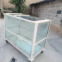 آکواریوم فروشی ۱۴ملیون با تخفیف|ماهی|لردگان, |دیوار