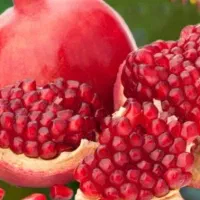 تور دو روزه فولبرد قائن جشنواره زرشک و انار