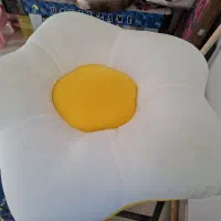 تشگ سک درحده نو