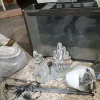 وسایل منزل|ماهی|دزفول, |دیوار