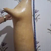 نی همبون.پوست