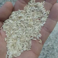 برنج هاشمی اقتصادی|خوردنی و آشامیدنی|جویبار, |دیوار