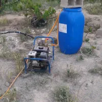 سم پاشی باغ و باغچه