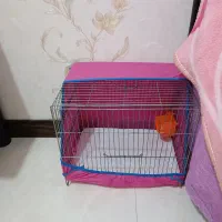 وسایل خرگوش|موش و خرگوش|فولادشهر, C4|دیوار