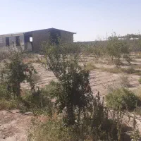 خانه باغ فروشی|فروش خانه و ویلا|زید آباد, |دیوار