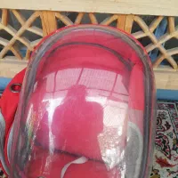 باکس حمل سگ و گربه