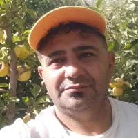 هرس درختان میوه وفرم دهی درختان غیره مثمر