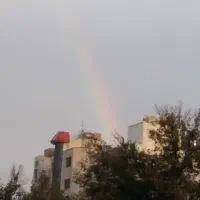 زمین مسکونی