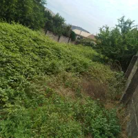 چمن زنی و علفزنی روستاهای لشت نشا