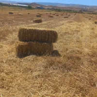 پرس گندم کیفیت بالا