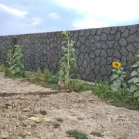 باغ-300متری-تکمیل-مناسب-سرمایه-گذاری520