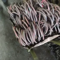 فورج کاری گرم و پرسکاری|خدمات پیشه و مهارت|تهران, شهرک شریفی|دیوار