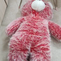 خرس بزرگ ۱مترونیم