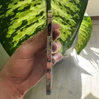 iPhone 13pro|موبایل|تهران, سعادت‌آباد|دیوار